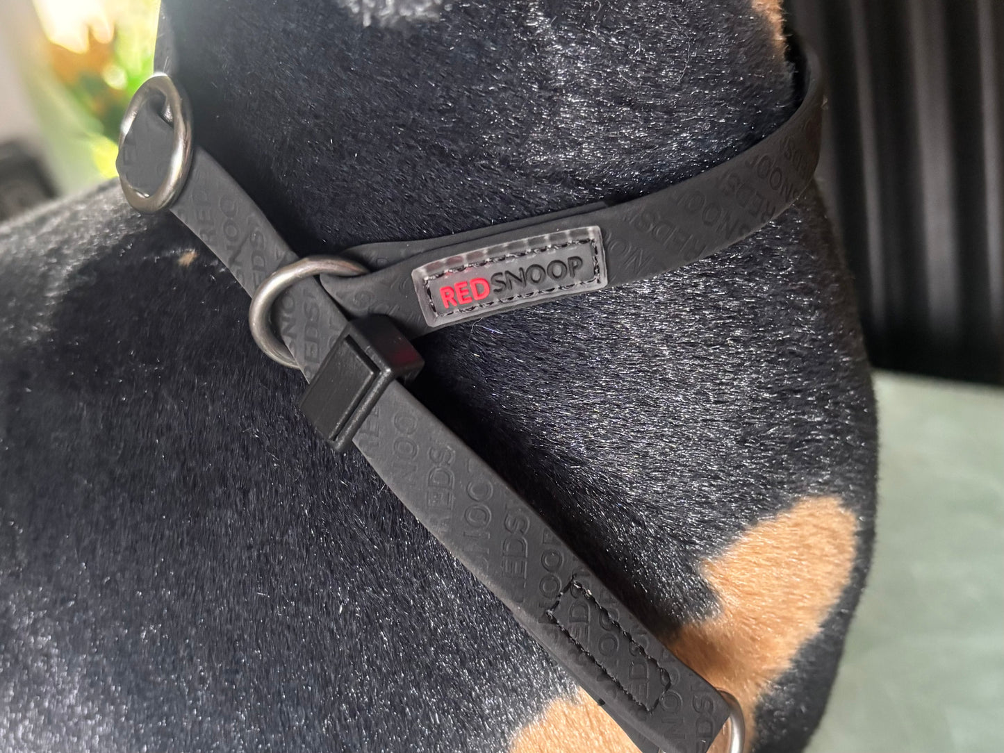Safety Halsband mit 2 Stop