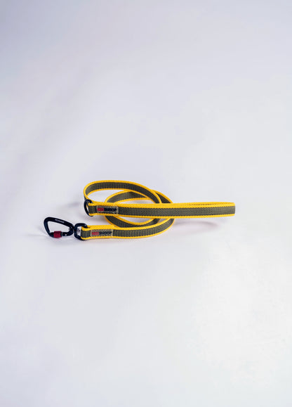 2cm - Heavy Leine Nylon Grip