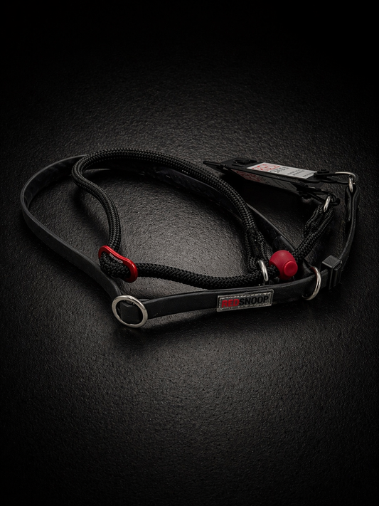 Safety Halsband mit 2 Stop